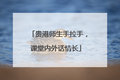 贵港师生手拉手，课堂内外话情长
