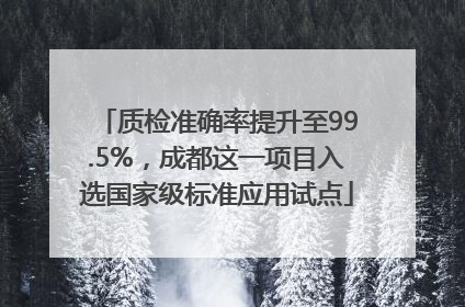 质检准确率提升至99.5%，成都这一项目入选国家级标准应用试点