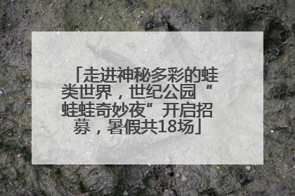 走进神秘多彩的蛙类世界，世纪公园“蛙蛙奇妙夜”开启招募，暑假共18场