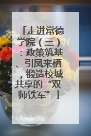 走进常德学院（三）：政策筑基、引凤来栖，锻造校城共享的“双师铁军”