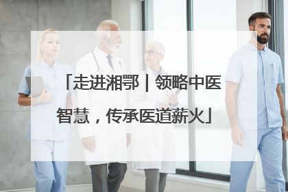 走进湘鄂｜领略中医智慧，传承医道薪火