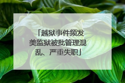 越狱事件频发 美监狱被批管理混乱、严重失职