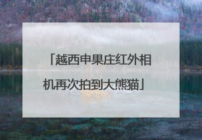 越西申果庄红外相机再次拍到大熊猫