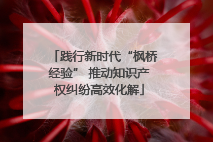 践行新时代“枫桥经验” 推动知识产权纠纷高效化解