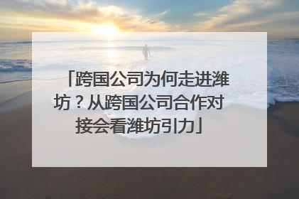跨国公司为何走进潍坊？从跨国公司合作对接会看潍坊引力