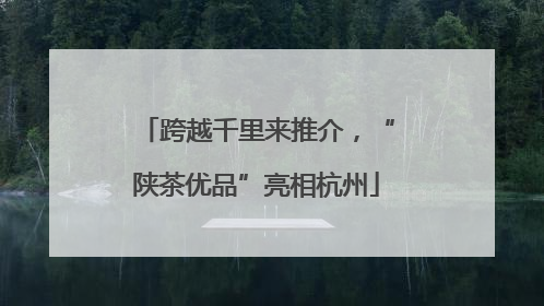 跨越千里来推介，“陕茶优品”亮相杭州