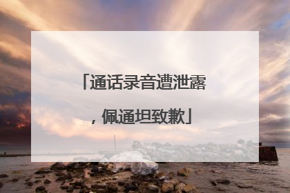通话录音遭泄露，佩通坦致歉