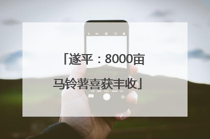 遂平：8000亩马铃薯喜获丰收