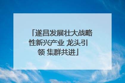 遂昌发展壮大战略性新兴产业 龙头引领 集群共进