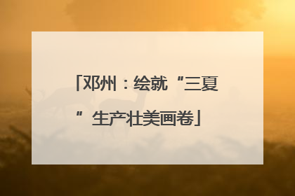 邓州：绘就“三夏”生产壮美画卷