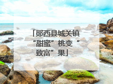 郧西县城关镇“甜蜜”桃变“致富”果