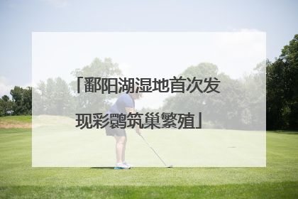 鄱阳湖湿地首次发现彩鹮筑巢繁殖