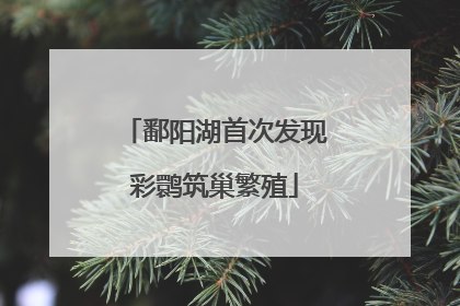 鄱阳湖首次发现彩鹮筑巢繁殖