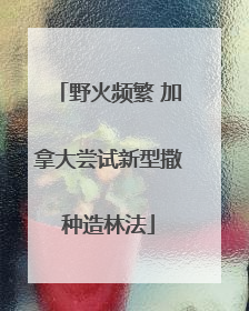 野火频繁 加拿大尝试新型撒种造林法