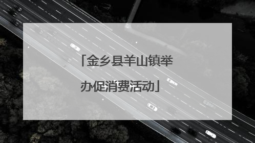 金乡县羊山镇举办促消费活动