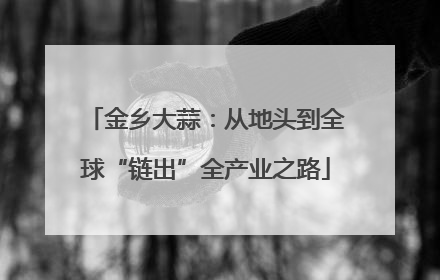金乡大蒜：从地头到全球“链出”全产业之路