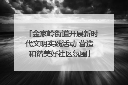 金家岭街道开展新时代文明实践活动 营造和谐美好社区氛围