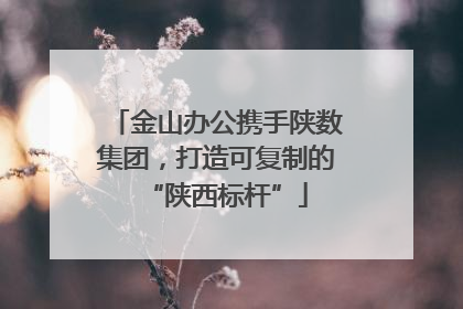金山办公携手陕数集团，打造可复制的“陕西标杆”