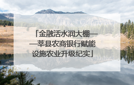 金融活水润大棚——莘县农商银行赋能设施农业升级纪实