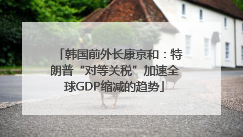 韩国前外长康京和：特朗普“对等关税”加速全球GDP缩减的趋势