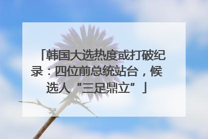 韩国大选热度或打破纪录：四位前总统站台，候选人“三足鼎立”