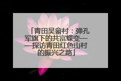 青田吴畲村：弹孔军旗下的共富蝶变——探访青田红色山村的振兴之路
