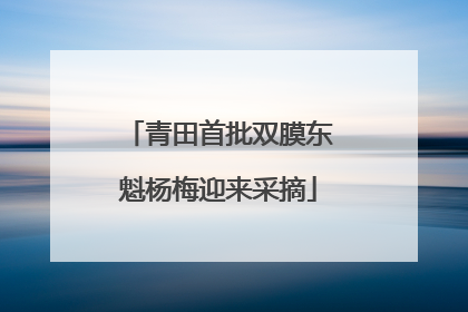 青田首批双膜东魁杨梅迎来采摘