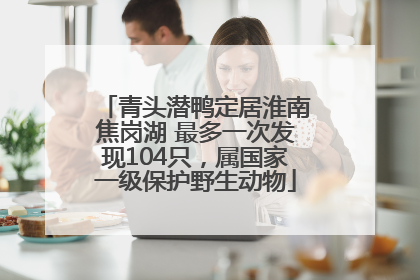 青头潜鸭定居淮南焦岗湖 最多一次发现104只，属国家一级保护野生动物