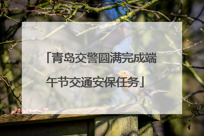 青岛交警圆满完成端午节交通安保任务
