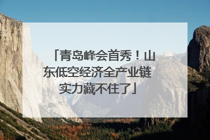 青岛峰会首秀！山东低空经济全产业链实力藏不住了