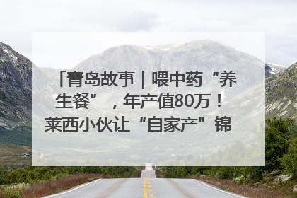 青岛故事｜喂中药“养生餐”，年产值80万！莱西小伙让“自家产”锦鲤“游”向全国