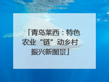青岛莱西：特色农业“链”动乡村振兴新图景