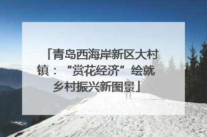 青岛西海岸新区大村镇：“赏花经济”绘就乡村振兴新图景