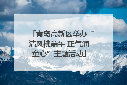 青岛高新区举办“清风拂端午 正气润童心”主题活动