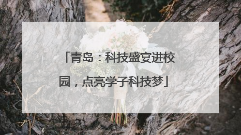 青岛：科技盛宴进校园，点亮学子科技梦