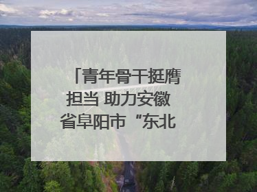 青年骨干挺膺担当 助力安徽省阜阳市“东北大外环”建设
