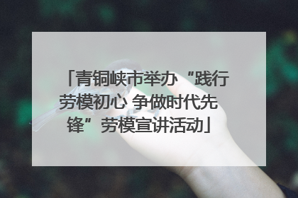 青铜峡市举办“践行劳模初心 争做时代先锋”劳模宣讲活动