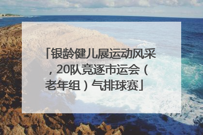 银龄健儿展运动风采，20队竞逐市运会（老年组）气排球赛