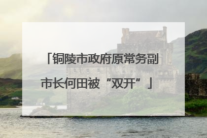 铜陵市政府原常务副市长何田被“双开”