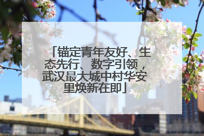 锚定青年友好、生态先行、数字引领，武汉最大城中村华安里焕新在即