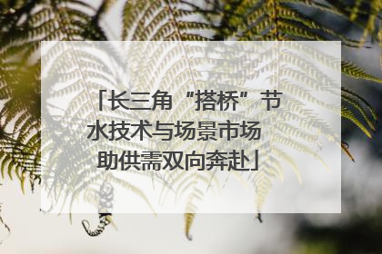 长三角“搭桥”节水技术与场景市场 助供需双向奔赴