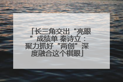 长三角交出“亮眼”成绩单 秦诗立：聚力抓好“两创”深度融合这个棋眼