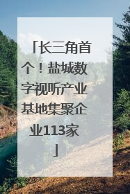 长三角首个！盐城数字视听产业基地集聚企业113家