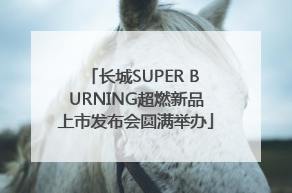 长城SUPER BURNING超燃新品上市发布会圆满举办