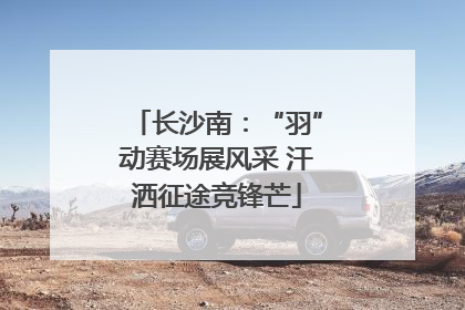 长沙南：“羽”动赛场展风采 汗洒征途竞锋芒