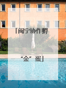 闽宁协作孵“金”蛋