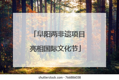 阜阳两非遗项目亮相国际文化节