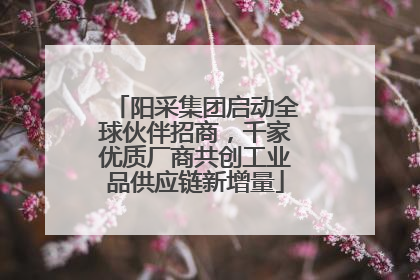 阳采集团启动全球伙伴招商，千家优质厂商共创工业品供应链新增量