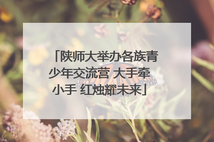 陕师大举办各族青少年交流营 大手牵小手 红烛耀未来