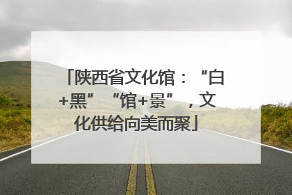 陕西省文化馆：“白+黑”“馆+景”，文化供给向美而聚